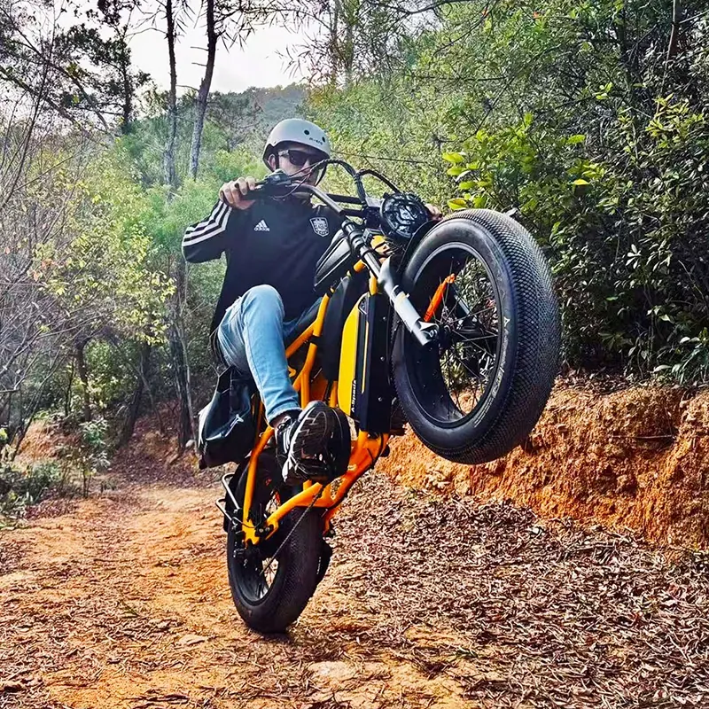 Aspadz Cavet Air electric fatbike 250W 100km range off-road bike
