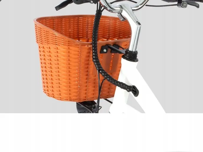 DYU C6 250W motor rated power label for electric bike compliance
