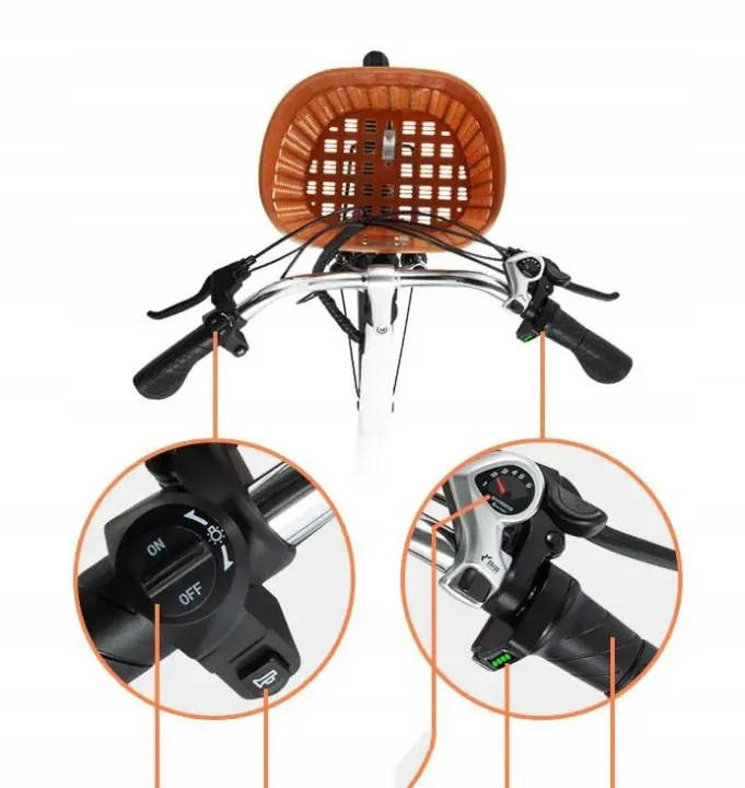 DYU C6 KAKA model electric bike for city commuting