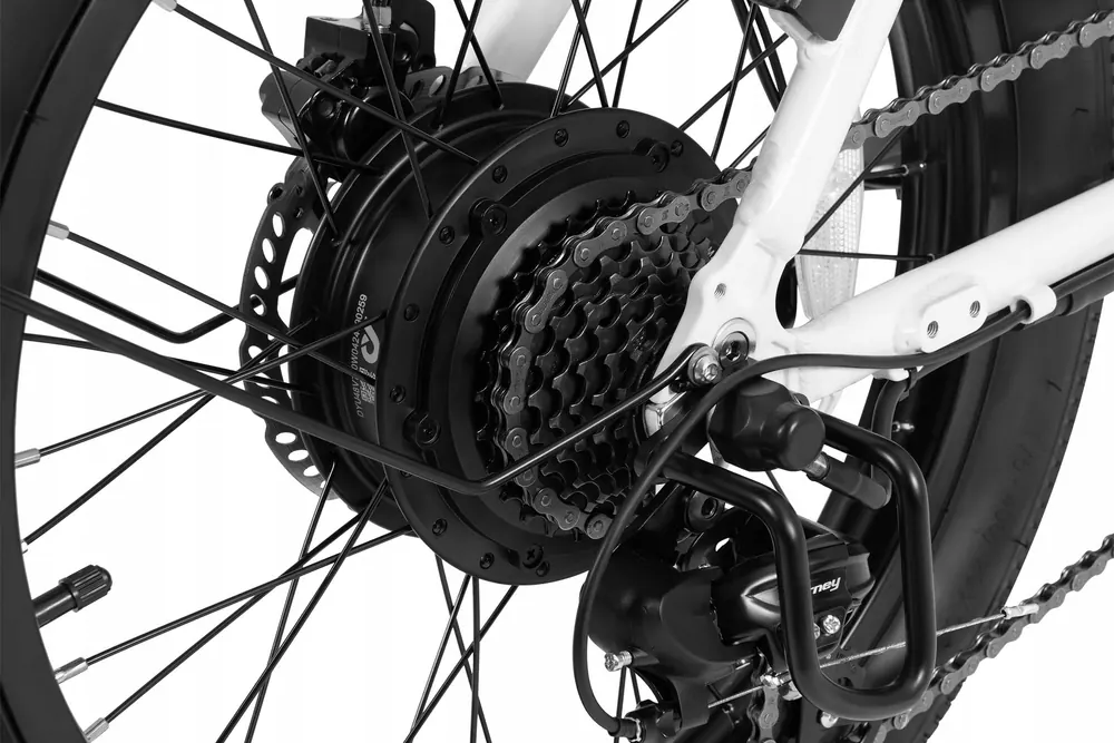 DYU C9 electric folding bike with 250W motor and 25km/h speed