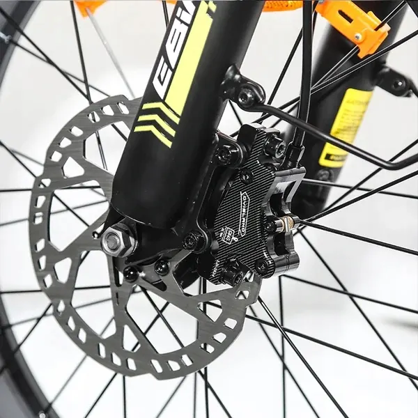 Manufacturer code EMOKO C99 displayed on the electric bike