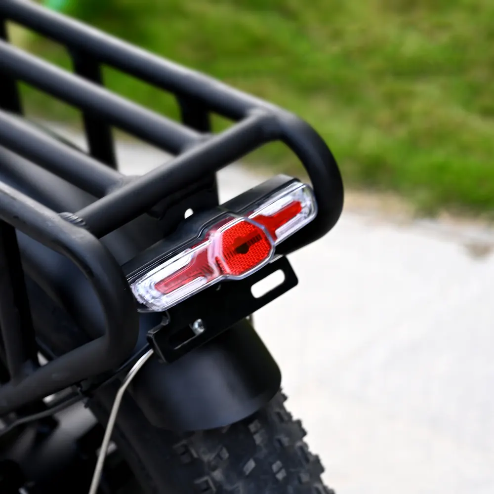 ENGWE ENGINE X electric bike with 250W nominal power motor