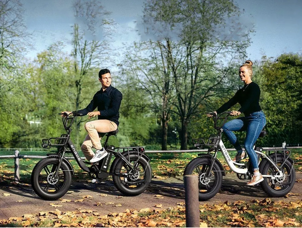 Engwe L20 250W black e-bike with 20 inch smaller frame