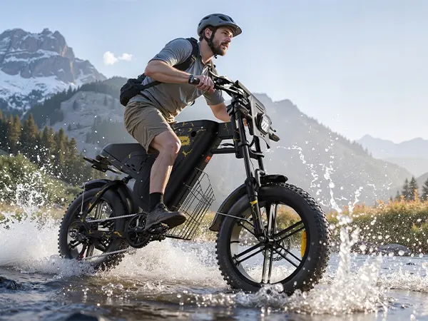 20 inch wheel size on 250W 48V electric fat bike with 31.5Ah battery