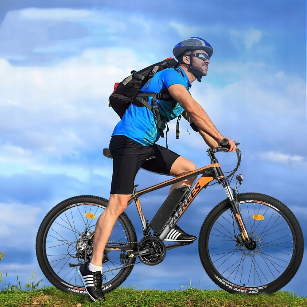 FAFREES 26 Hailong One electric mountain bike with 250W motor and 100km range