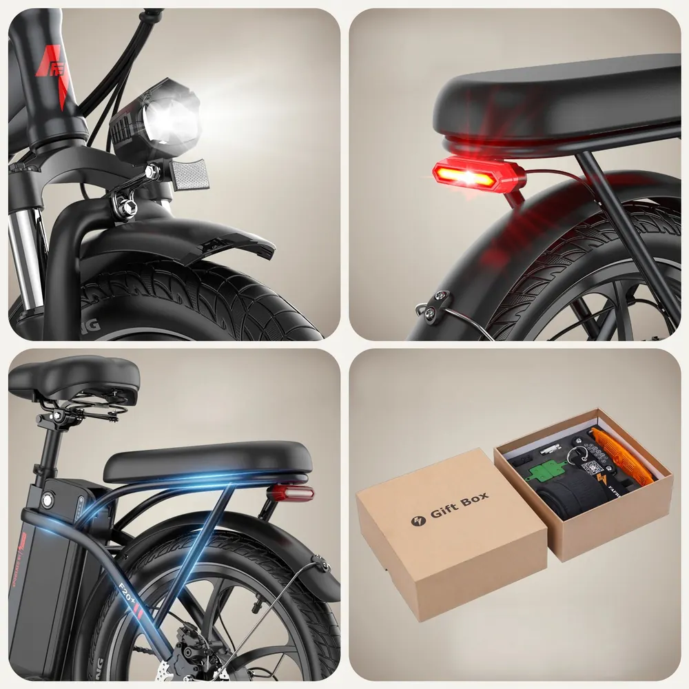 Fafrees F20+ step-through electric bike suitable for all genders
