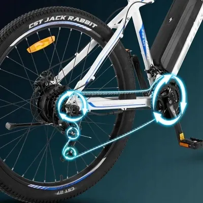 Size L frame label on the Fafrees F28 electric bike.
