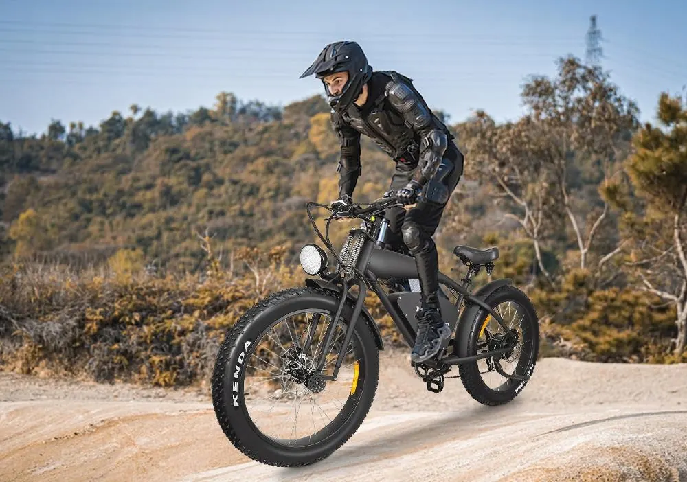 HIDOES B3 electric bike black fat tire 26 inch 1200W motor