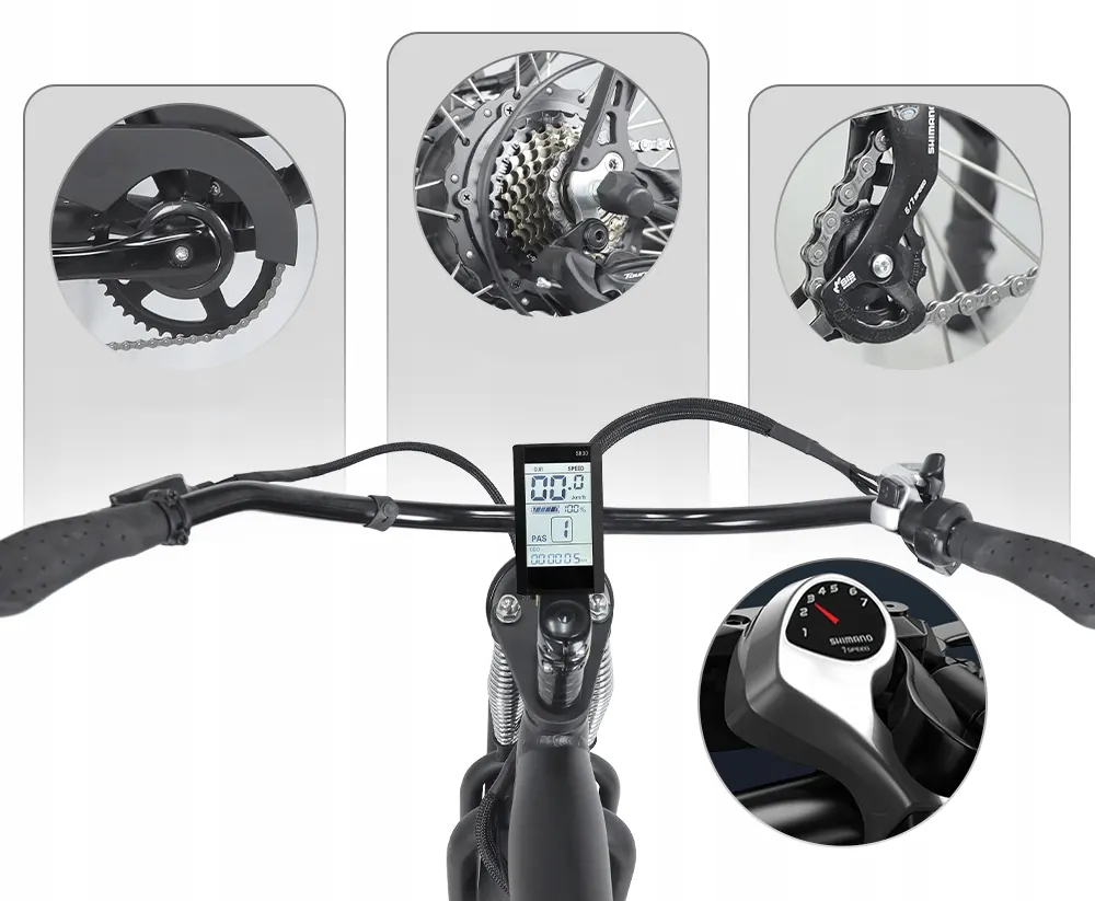 HIDOES B3 26 inch wheel electric bicycle