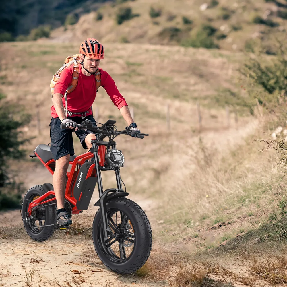 Hidoes B6 electric bike model code 0781858218426-B6, 1200W power.