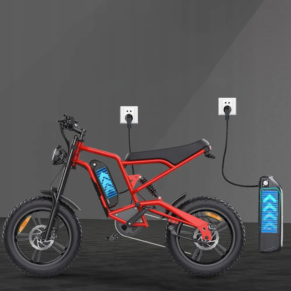 Hidoes B6 electric bike 20-inch frame size, suitable for riders 165-200 cm.