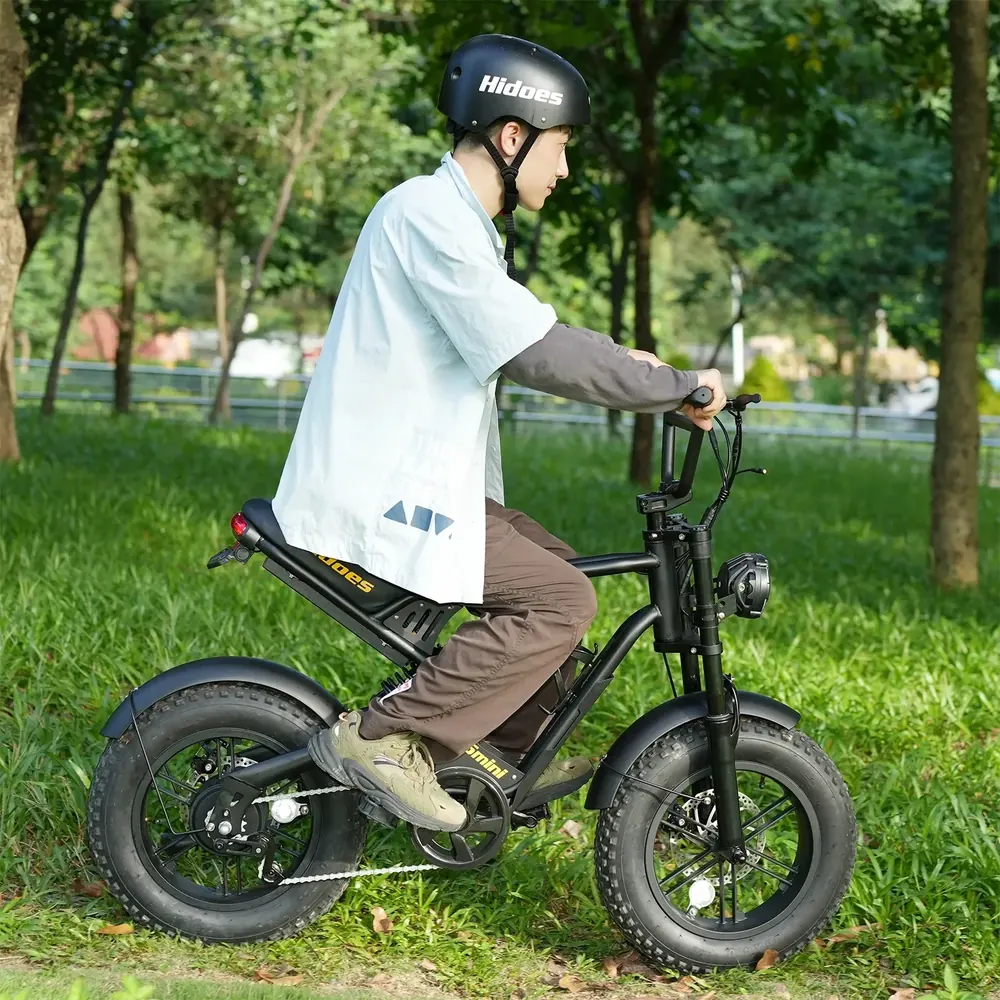Hidoes B6MINI electric bike with 500W motor and 48V10.4AH battery