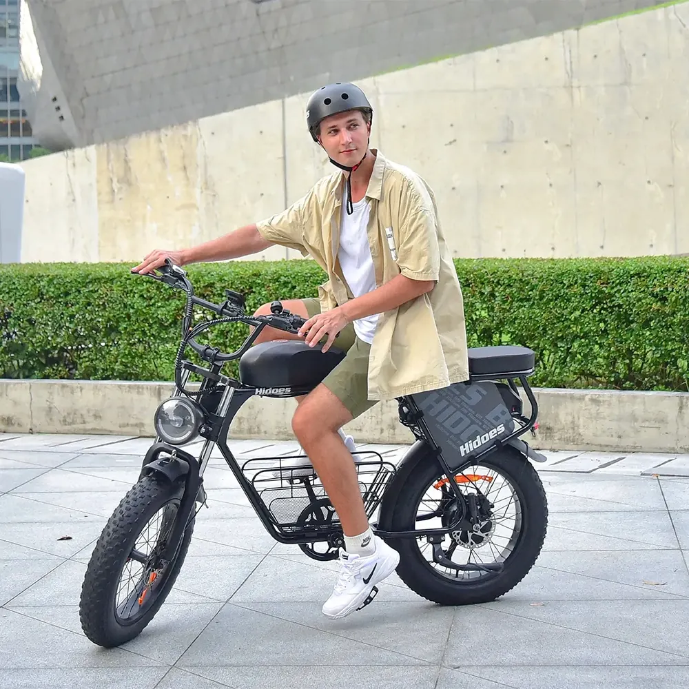 Hidoes B9 unisex electric bike with hydraulic brakes and fat tires