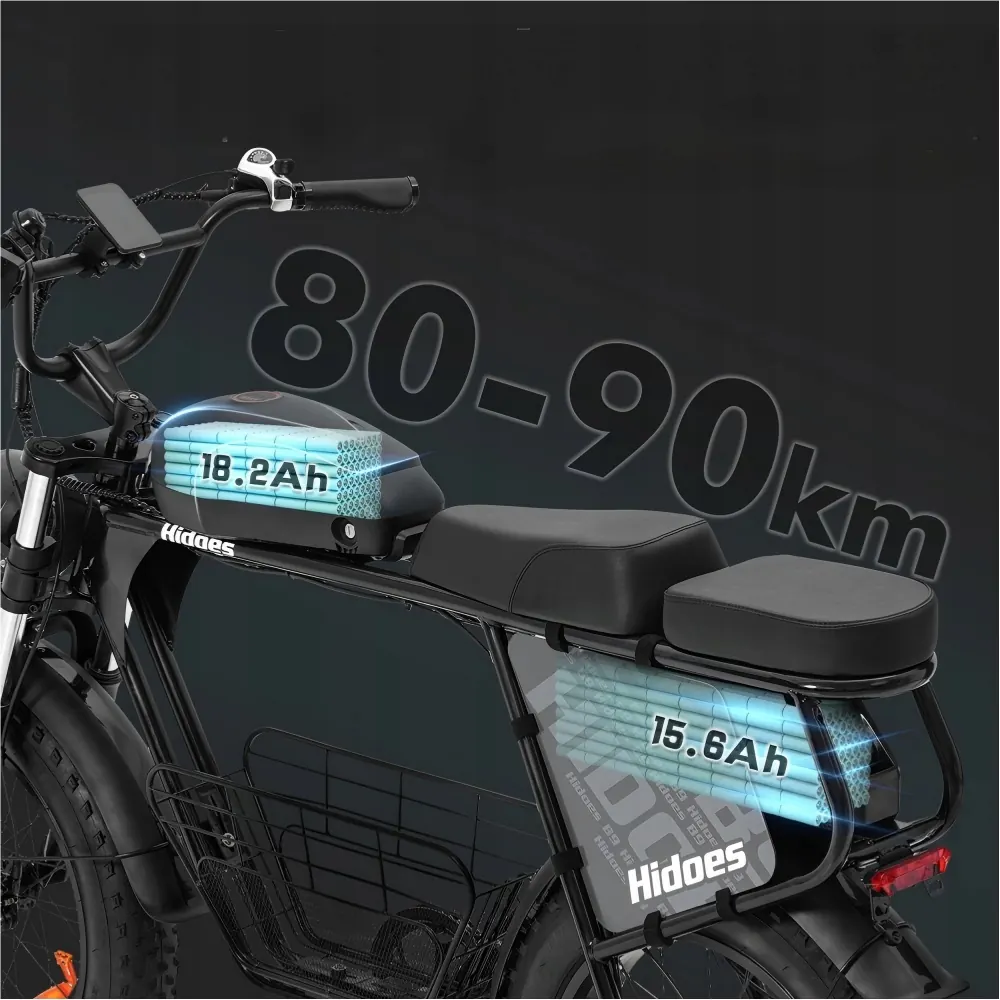 Hidoes B9 electric bike 20 inch frame size, fat tire, hydraulic disc brakes