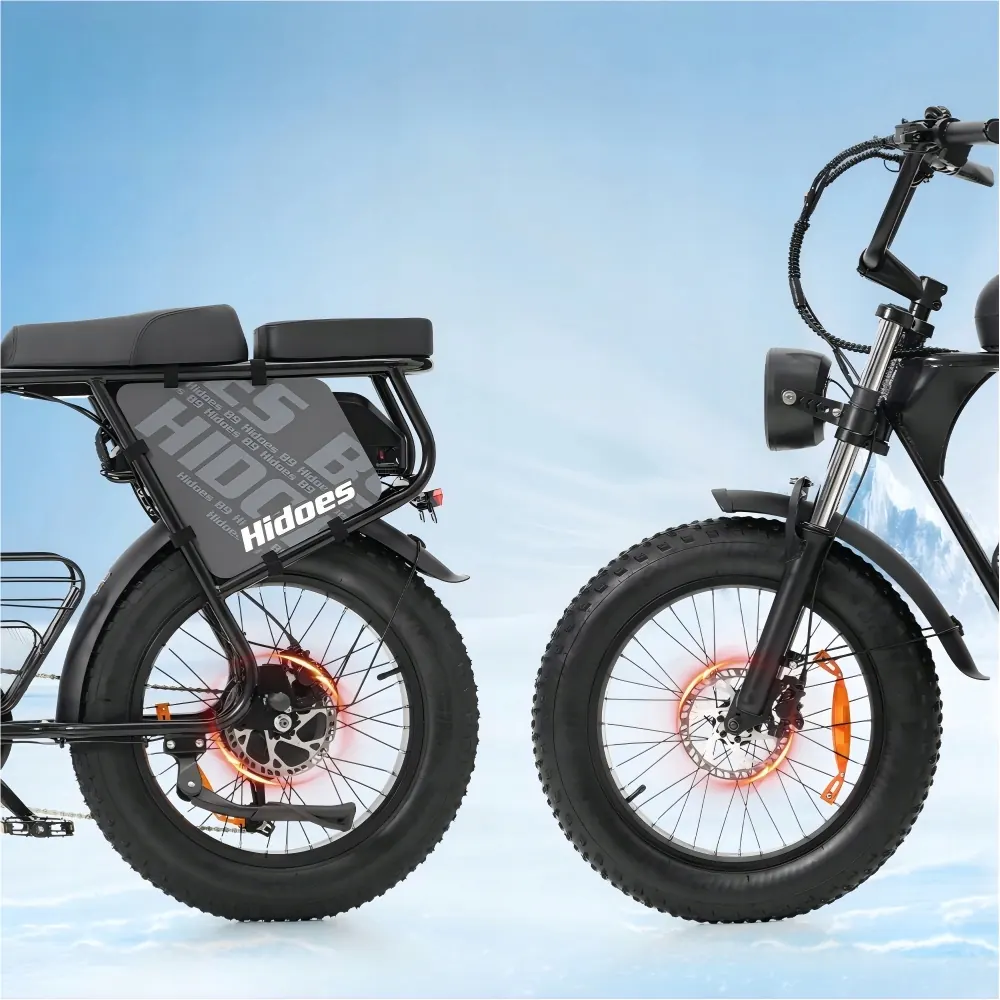 Hidoes B9 aluminium frame electric bike, 1000W motor, fat tire 20 inch