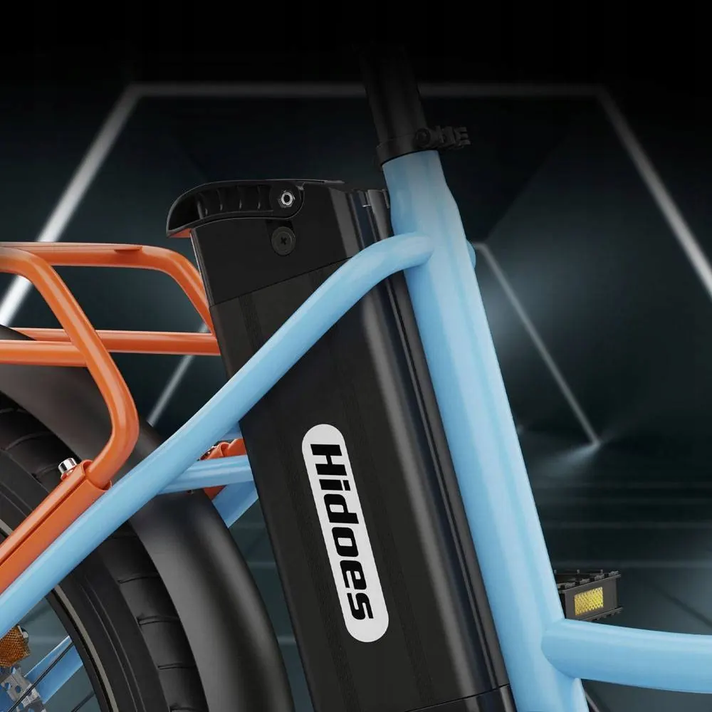 Hidoes C6 250W motor electric bike for urban commuting