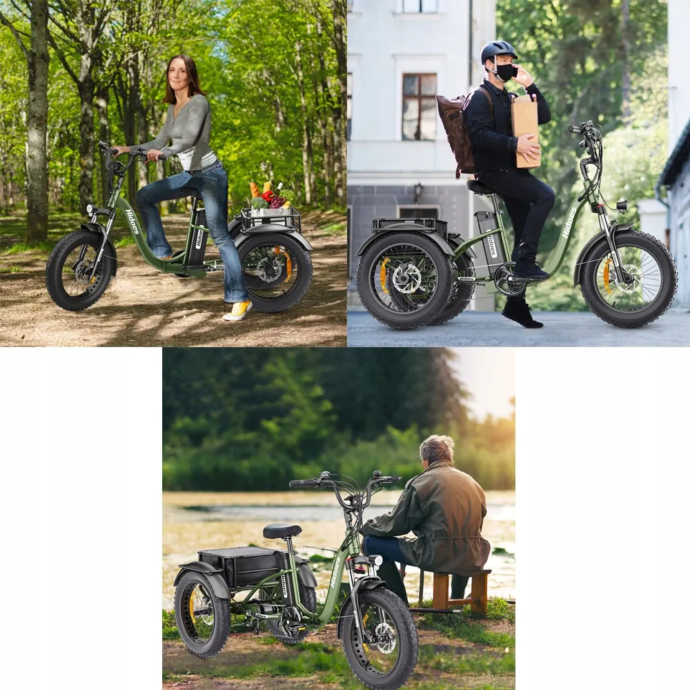 Hidoes HD-ET1 750W electric bike with 20x4.0 fat tires, 48V20Ah battery, 85Nm torque, 57.9kg package weight
