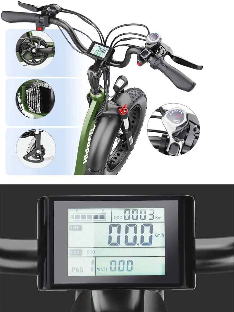 Hidoes HD-ET1 electric bike with 750W motor, 20x4.0 fat tires, 48V20Ah battery