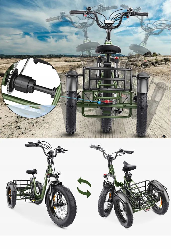 Hidoes HD-ET1 electric bike with aluminium frame and 20x4.0 fat tires