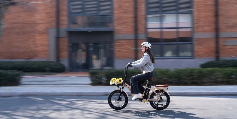 KOOLUX X16 folding e-bike package weight 38 kg with box