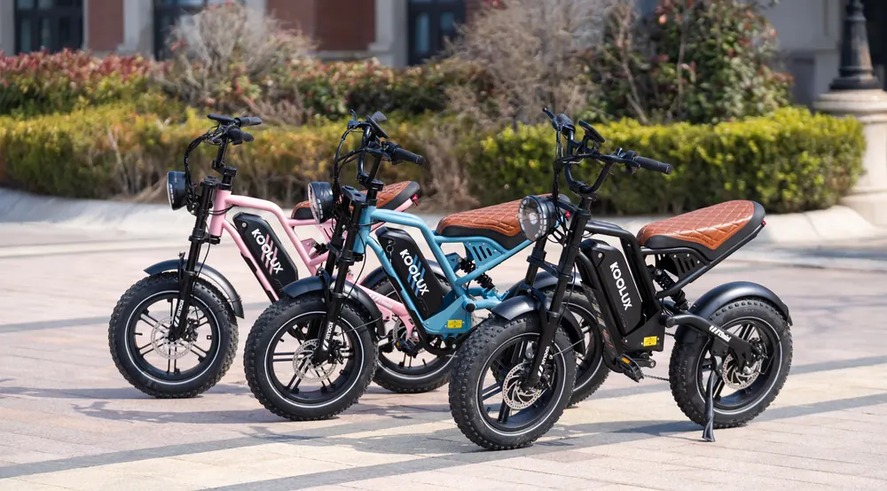 Koolux X9 Mini electric bike with 150 kg maximum load capacity