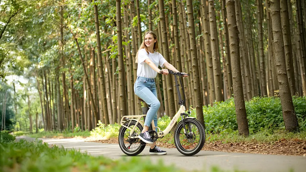 ONESPORT OT16-2 folding electric bike with 48V 17AH battery and 250W motor