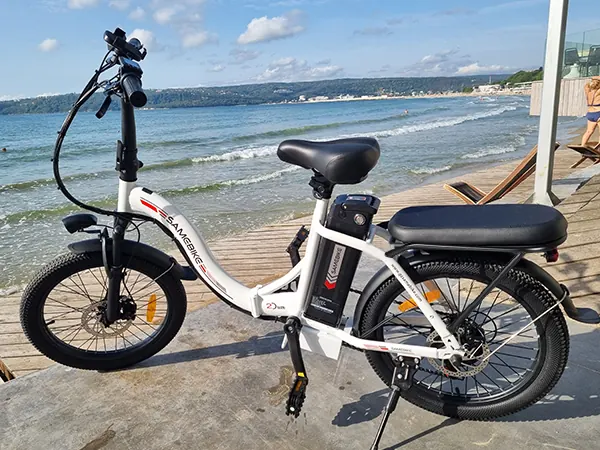 SAMEBIKE CY20 electric bike motor rated power 250W for commuting