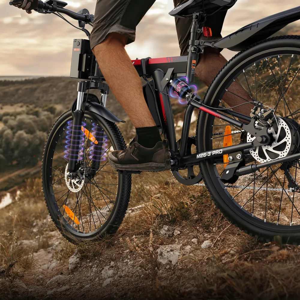 VARUN electric bike pre-assembled and adjusted 250W 48V folding