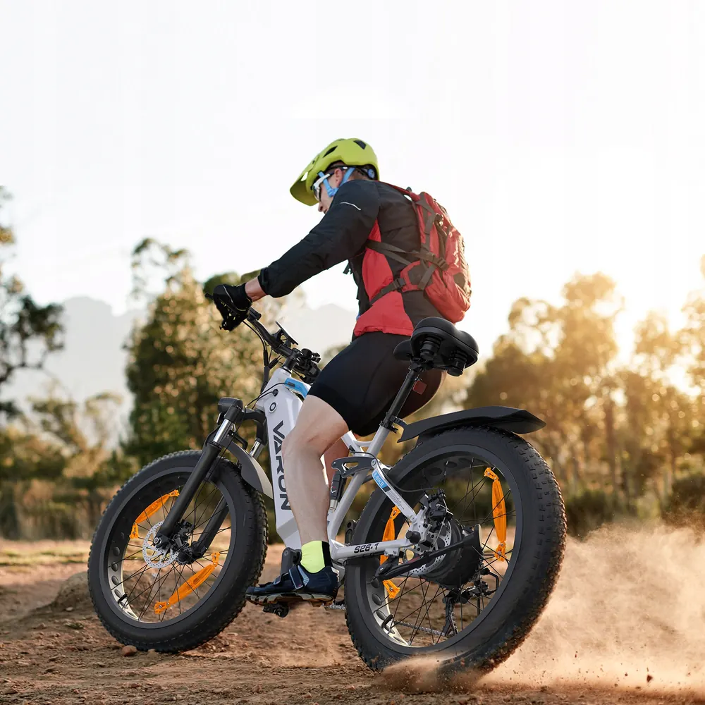 VARUN S26-1 model badge on the electric mountain bike