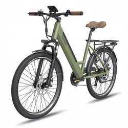 FAFREES F26 Pro Electric Mountain Bike