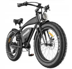 HIDOES B3 Fat Tire Electric Bike