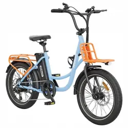 HIDOES C6 Fat Tyre Electric Bike