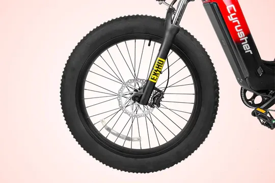 Cyrusher Roam E-Bike Tires