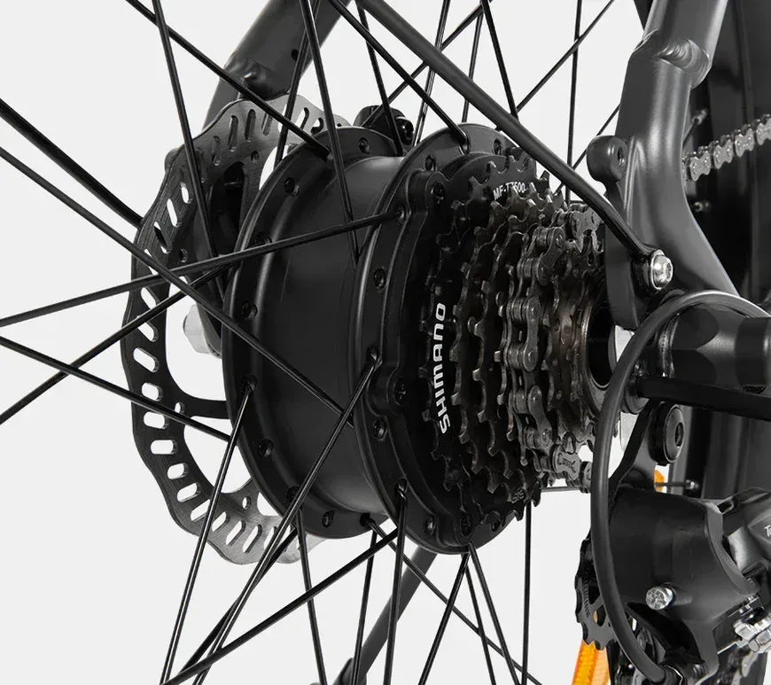 DYU C1 Electric Bike Motor