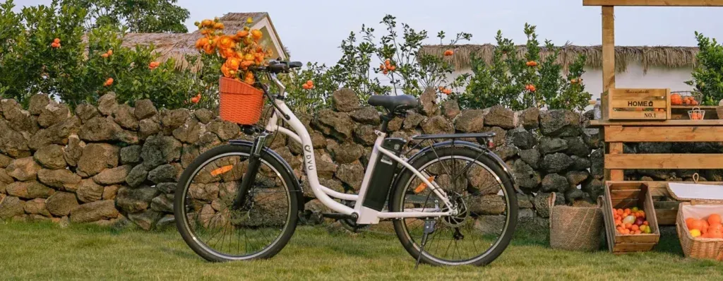 DYU C6 Shimano Derailleur