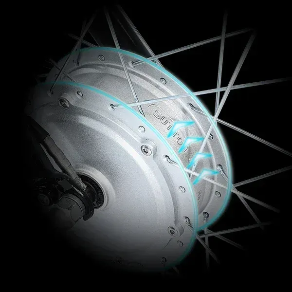 GOGOBEST GF100 Electric City Tricycle Motor