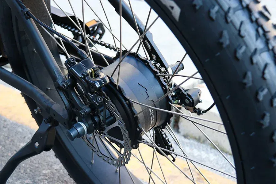 Hidoes B3 Electric Bike with Fat Tires