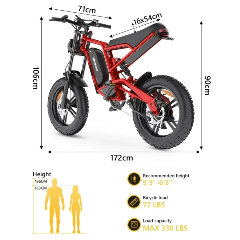 Hidoes B6 Fat Tire Electric Bike