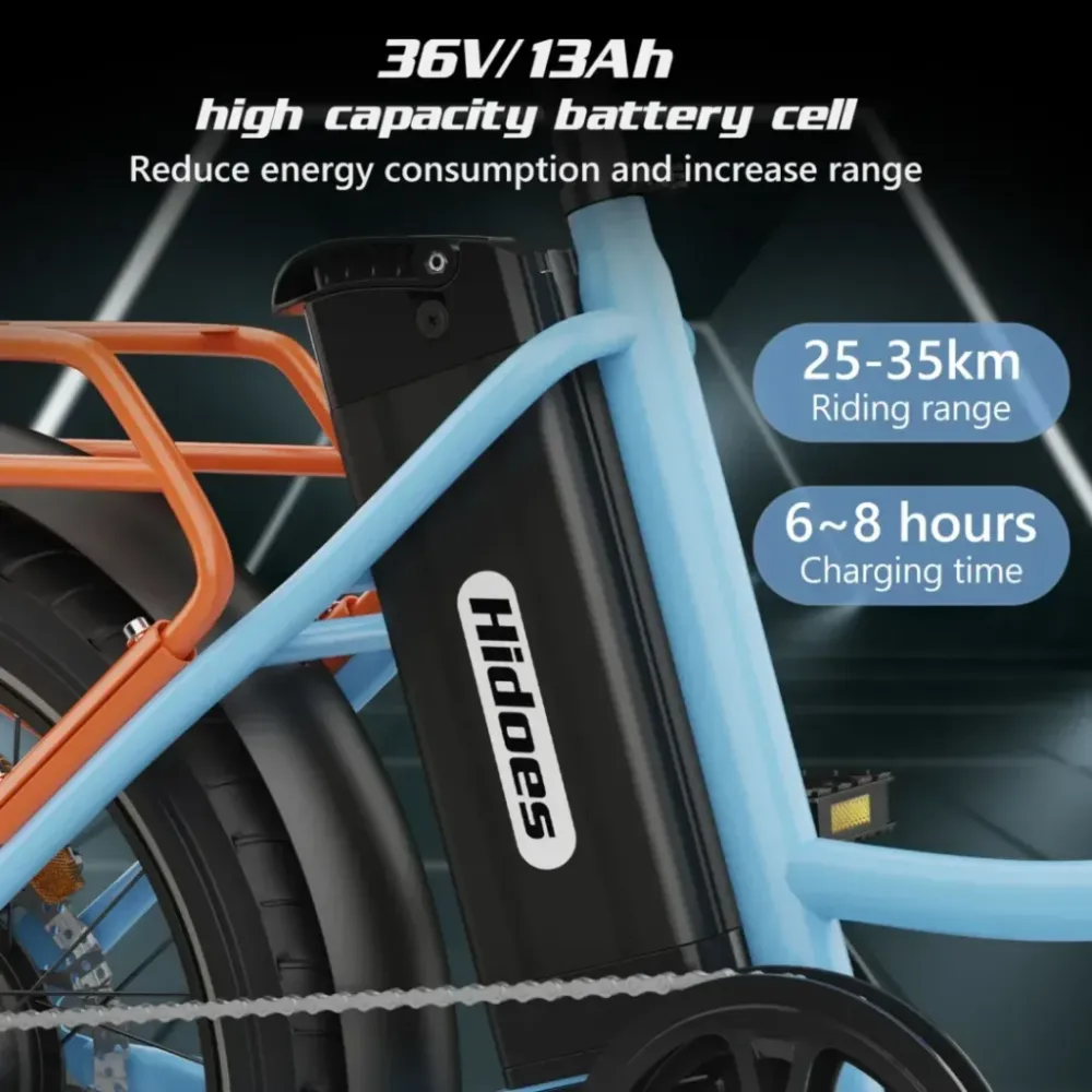 Hidoes C6 Electric Bike Battery