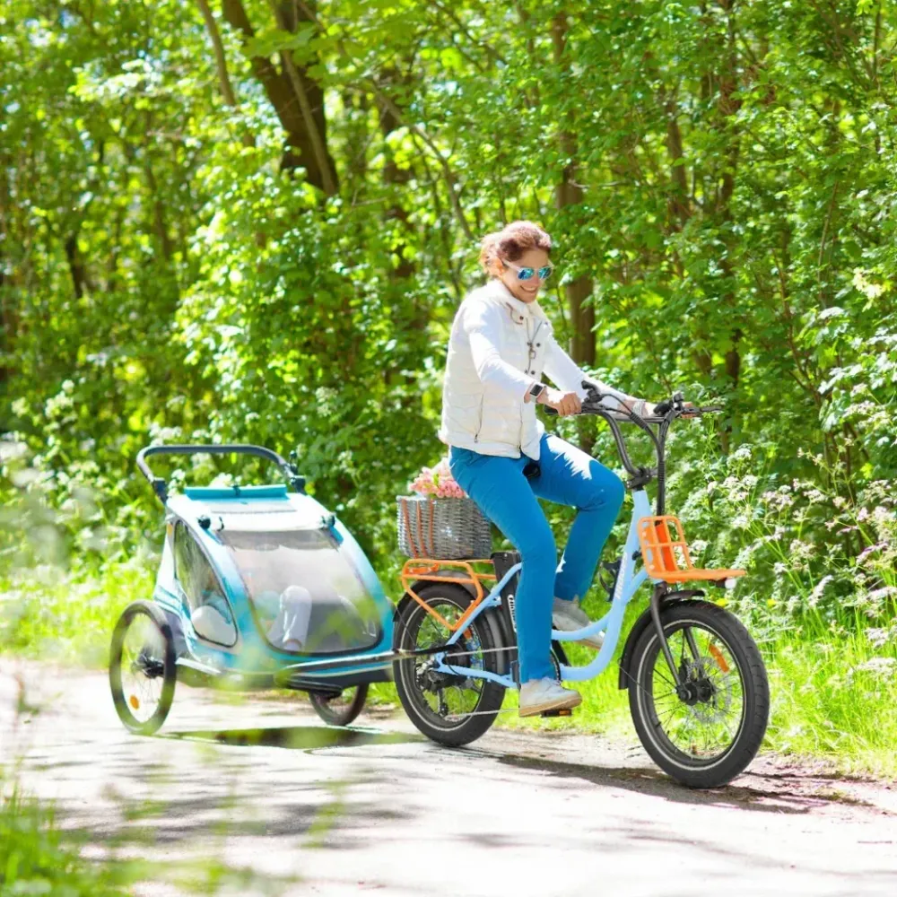 Hidoes C6 Electric Bike with Trailer
