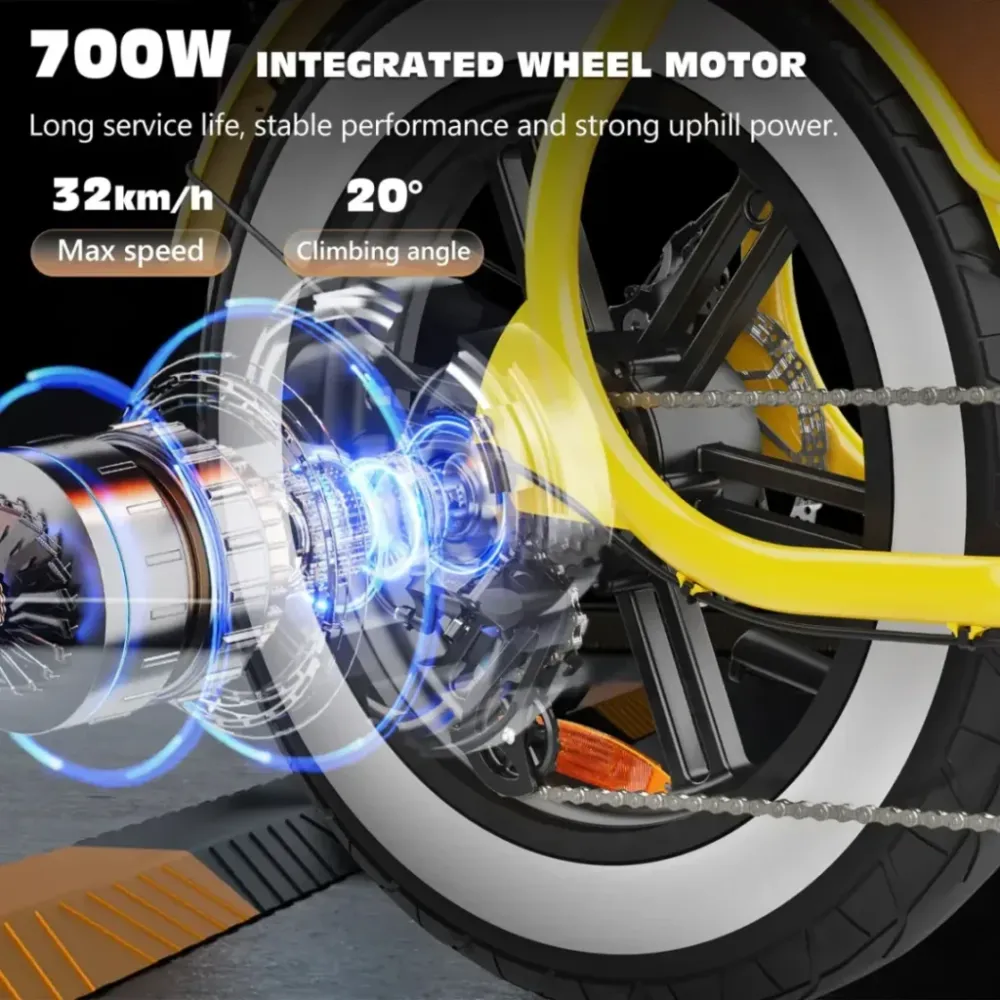 Hidoes C8 700W Fat Tire Electric Bike